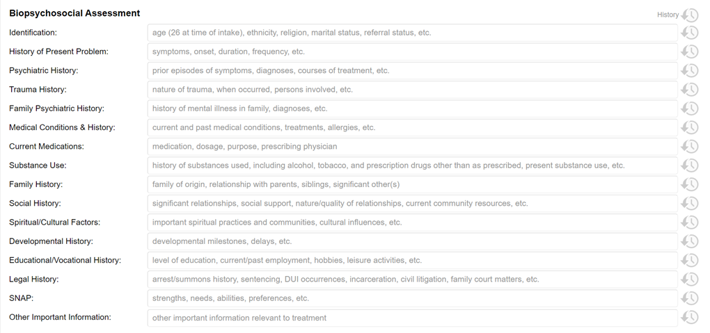 Biopsychosocial Assessment interface on TherapyNotes note templates showing fields for Identification, History, and others